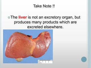 Take Note !!
The liver is not an excretory organ, but
produces many products which are
excreted elsewhere.
 