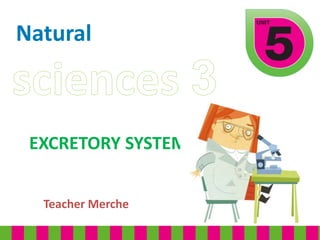 Natural
EXCRETORY SYSTEM
Teacher Merche
 