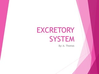 EXCRETORY
SYSTEM
By: A. Thomas
 