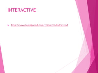 INTERACTIVE
 http://www.biologymad.com/resources/kidney.swf
 