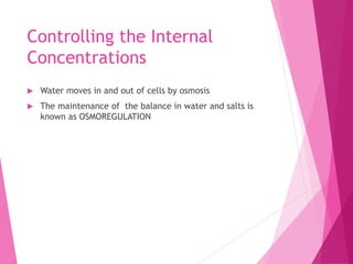 Controlling the Internal
Concentrations
 Water moves in and out of cells by osmosis
 The maintenance of the balance in water and salts is
known as OSMOREGULATION
 