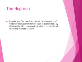 The Nephron
 Its principal function is to control the absorption of
water and soluble substances such as sodium salts by
filtering the blood, reabsorbing what is required and
excreting the rest as urine.
 