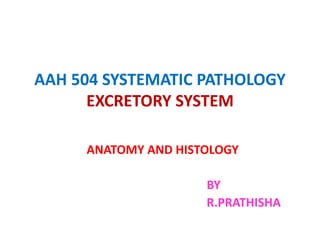 AAH 504 SYSTEMATIC PATHOLOGY
EXCRETORY SYSTEM
ANATOMY AND HISTOLOGY
BY
R.PRATHISHA
 