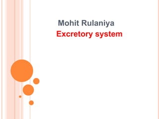 Mohit Rulaniya
Excretory system
 
