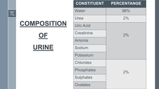 Urin Composition Excretory system | PDF