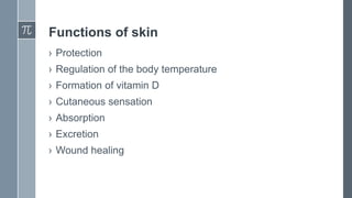 Functions of skin
› Protection
› Regulation of the body temperature
› Formation of vitamin D
› Cutaneous sensation
› Absorption
› Excretion
› Wound healing
 