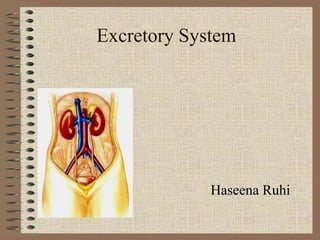Excretory System
Haseena Ruhi
 