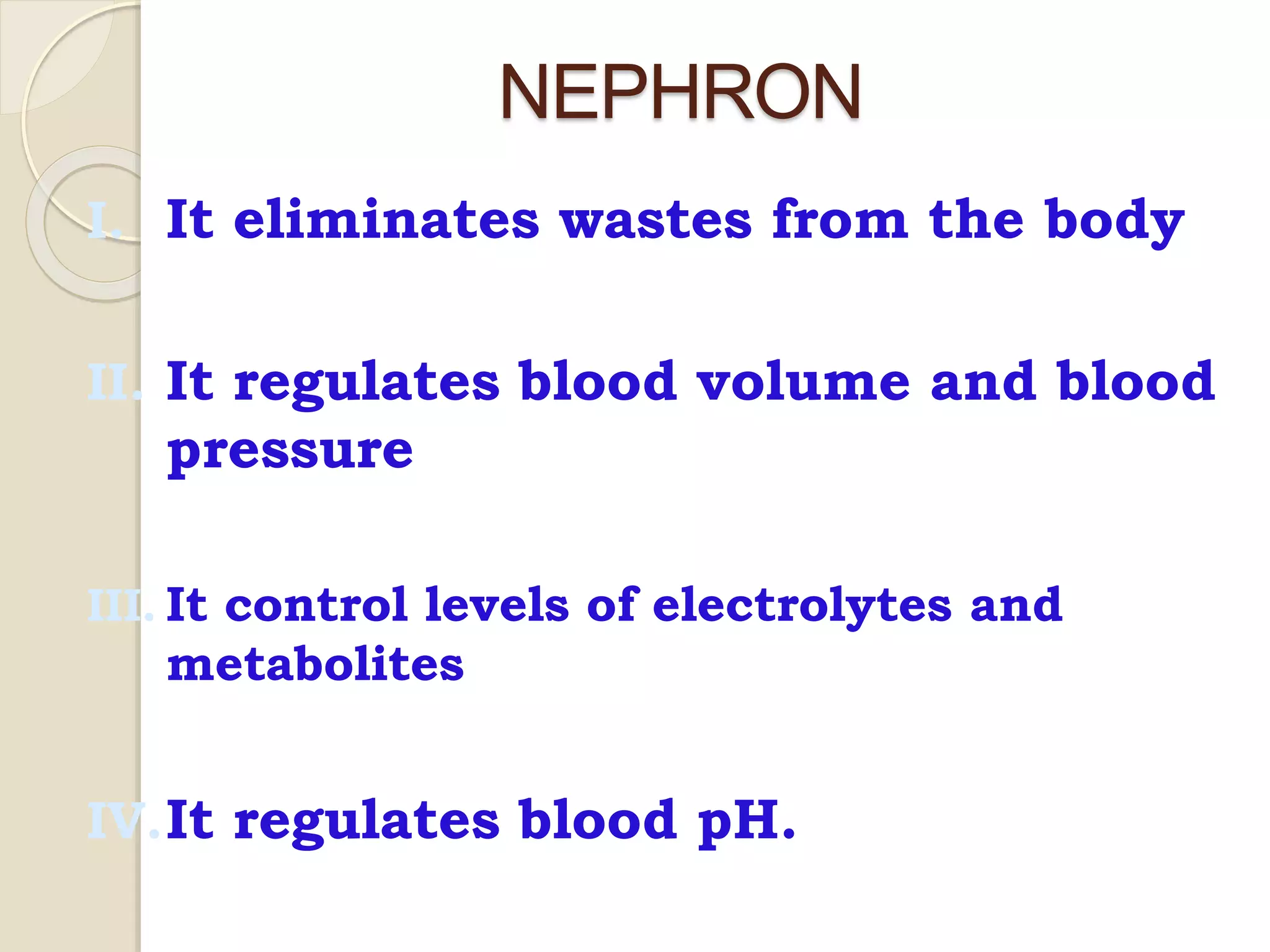 NEPHRON
I. It eliminates wastes from the body
II. It regulates blood volume and blood
pressure
III. It control levels of electrolytes and
metabolites
IV.It regulates blood pH.
 