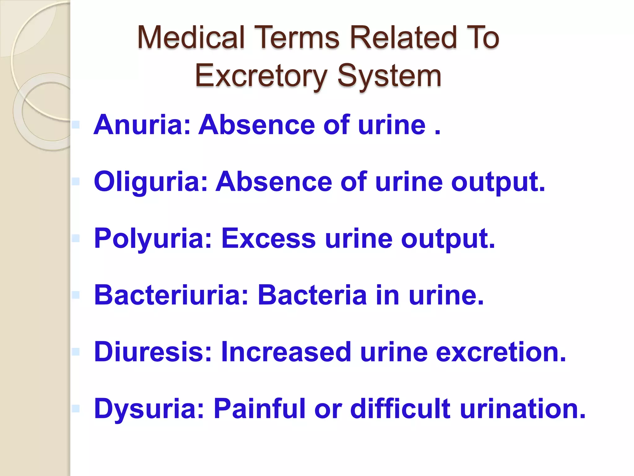  Anuria: Absence of urine .
 Oliguria: Absence of urine output.
 Polyuria: Excess urine output.
 Bacteriuria: Bacteria in urine.
 Diuresis: Increased urine excretion.
 Dysuria: Painful or difficult urination.
Medical Terms Related To
Excretory System
 