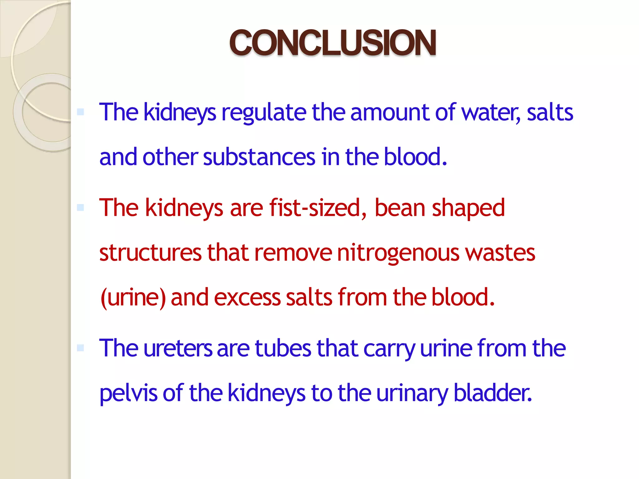 CONCLUSION
 The kidneys regulate the amount of water
, salts
and other substances in the blood.
 The kidneys are fist-sized, bean shaped
structures that remove nitrogenous wastes
(urine)and excess salts from the blood.
 The uretersare tubes that carryurine from the
pelvis of the kidneys to the urinary bladder.
 