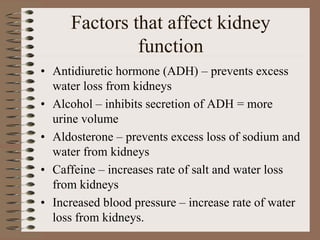 Factors that affect kidney
function
• Antidiuretic hormone (ADH) – prevents excess
water loss from kidneys
• Alcohol – inhibits secretion of ADH = more
urine volume
• Aldosterone – prevents excess loss of sodium and
water from kidneys
• Caffeine – increases rate of salt and water loss
from kidneys
• Increased blood pressure – increase rate of water
loss from kidneys.
 