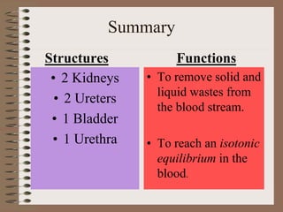 Summary
Structures
• 2 Kidneys
• 2 Ureters
• 1 Bladder
• 1 Urethra
Functions
• To remove solid and
liquid wastes from
the blood stream.
• To reach an isotonic
equilibrium in the
blood.
 