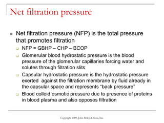 Copyright 2009, John Wiley & Sons, Inc.
Net filtration pressure
 Net filtration pressure (NFP) is the total pressure
that promotes filtration
 NFP = GBHP – CHP – BCOP
 Glomerular blood hydrostatic pressure is the blood
pressure of the glomerular capillaries forcing water and
solutes through filtration slits
 Capsular hydrostatic pressure is the hydrostatic pressure
exerted against the filtration membrane by fluid already in
the capsular space and represents “back pressure”
 Blood colloid osmotic pressure due to presence of proteins
in blood plasma and also opposes filtration
 