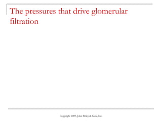 Copyright 2009, John Wiley & Sons, Inc.
The pressures that drive glomerular
filtration
 