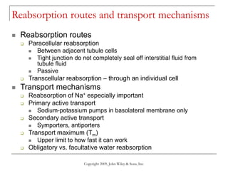 Copyright 2009, John Wiley & Sons, Inc.
Reabsorption routes and transport mechanisms
 Reabsorption routes
 Paracellular reabsorption
 Between adjacent tubule cells
 Tight junction do not completely seal off interstitial fluid from
tubule fluid
 Passive
 Transcellular reabsorption – through an individual cell
 Transport mechanisms
 Reabsorption of Na+ especially important
 Primary active transport
 Sodium-potassium pumps in basolateral membrane only
 Secondary active transport
 Symporters, antiporters
 Transport maximum (Tm)
 Upper limit to how fast it can work
 Obligatory vs. facultative water reabsorption
 
