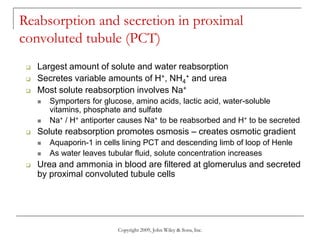 Copyright 2009, John Wiley & Sons, Inc.
Reabsorption and secretion in proximal
convoluted tubule (PCT)
 Largest amount of solute and water reabsorption
 Secretes variable amounts of H+, NH4
+ and urea
 Most solute reabsorption involves Na+
 Symporters for glucose, amino acids, lactic acid, water-soluble
vitamins, phosphate and sulfate
 Na+ / H+ antiporter causes Na+ to be reabsorbed and H+ to be secreted
 Solute reabsorption promotes osmosis – creates osmotic gradient
 Aquaporin-1 in cells lining PCT and descending limb of loop of Henle
 As water leaves tubular fluid, solute concentration increases
 Urea and ammonia in blood are filtered at glomerulus and secreted
by proximal convoluted tubule cells
 