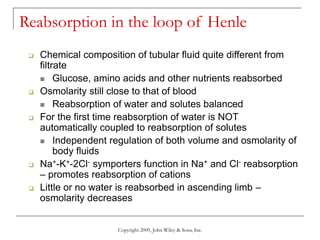 Copyright 2009, John Wiley & Sons, Inc.
Reabsorption in the loop of Henle
 Chemical composition of tubular fluid quite different from
filtrate
 Glucose, amino acids and other nutrients reabsorbed
 Osmolarity still close to that of blood
 Reabsorption of water and solutes balanced
 For the first time reabsorption of water is NOT
automatically coupled to reabsorption of solutes
 Independent regulation of both volume and osmolarity of
body fluids
 Na+-K+-2Cl- symporters function in Na+ and Cl- reabsorption
– promotes reabsorption of cations
 Little or no water is reabsorbed in ascending limb –
osmolarity decreases
 