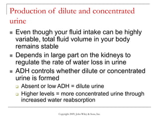 Copyright 2009, John Wiley & Sons, Inc.
Production of dilute and concentrated
urine
 Even though your fluid intake can be highly
variable, total fluid volume in your body
remains stable
 Depends in large part on the kidneys to
regulate the rate of water loss in urine
 ADH controls whether dilute or concentrated
urine is formed
 Absent or low ADH = dilute urine
 Higher levels = more concentrated urine through
increased water reabsorption
 