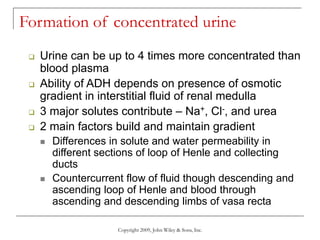 Copyright 2009, John Wiley & Sons, Inc.
Formation of concentrated urine
 Urine can be up to 4 times more concentrated than
blood plasma
 Ability of ADH depends on presence of osmotic
gradient in interstitial fluid of renal medulla
 3 major solutes contribute – Na+, Cl-, and urea
 2 main factors build and maintain gradient
 Differences in solute and water permeability in
different sections of loop of Henle and collecting
ducts
 Countercurrent flow of fluid though descending and
ascending loop of Henle and blood through
ascending and descending limbs of vasa recta
 