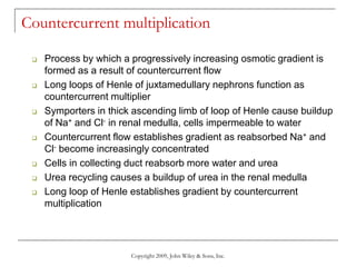 Copyright 2009, John Wiley & Sons, Inc.
Countercurrent multiplication
 Process by which a progressively increasing osmotic gradient is
formed as a result of countercurrent flow
 Long loops of Henle of juxtamedullary nephrons function as
countercurrent multiplier
 Symporters in thick ascending limb of loop of Henle cause buildup
of Na+ and Cl- in renal medulla, cells impermeable to water
 Countercurrent flow establishes gradient as reabsorbed Na+ and
Cl- become increasingly concentrated
 Cells in collecting duct reabsorb more water and urea
 Urea recycling causes a buildup of urea in the renal medulla
 Long loop of Henle establishes gradient by countercurrent
multiplication
 