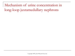Copyright 2009, John Wiley & Sons, Inc.
Mechanism of urine concentration in
long-loop juxtamedullary nephrons
 
