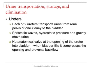 Copyright 2009, John Wiley & Sons, Inc.
Urine transportation, storage, and
elimination
 Ureters
 Each of 2 ureters transports urine from renal
pelvis of one kidney to the bladder
 Peristaltic waves, hydrostatic pressure and gravity
move urine
 No anatomical valve at the opening of the ureter
into bladder – when bladder fills it compresses the
opening and prevents backflow
 