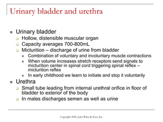 Copyright 2009, John Wiley & Sons, Inc.
Urinary bladder and urethra
 Urinary bladder
 Hollow, distensible muscular organ
 Capacity averages 700-800mL
 Micturition – discharge of urine from bladder
 Combination of voluntary and involuntary muscle contractions
 When volume increases stretch receptors send signals to
micturition center in spinal cord triggering spinal reflex –
micturition reflex
 In early childhood we learn to initiate and stop it voluntarily
 Urethra
 Small tube leading from internal urethral orifice in floor of
bladder to exterior of the body
 In males discharges semen as well as urine
 