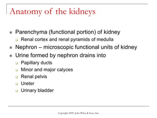 Copyright 2009, John Wiley & Sons, Inc.
Anatomy of the kidneys
 Parenchyma (functional portion) of kidney
 Renal cortex and renal pyramids of medulla
 Nephron – microscopic functional units of kidney
 Urine formed by nephron drains into
 Papillary ducts
 Minor and major calyces
 Renal pelvis
 Ureter
 Urinary bladder
 