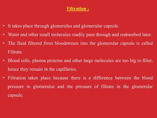 Filtration :
• It takes place through glomerulus and glomerular capsule.
• Water and other small molecules readily pass through and reabsorbed later.
• The fluid filtered from bloodstream into the glomerular capsule is called
Filtrate.
• Blood cells, plasma proteins and other large molecules are too big to filter,
hence they remain in the capillaries.
• Filtration takes place because there is a difference between the blood
pressure in glomerulus and the pressure of filtrate in the glomerular
capsule.
 