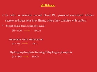 pH Balance:
• In order to maintain normal blood Ph, proximal convoluted tubules
secrete hydrogen ions into filtrate, where they combine with buffers.
• bicarbonate forms carbonic acid
(H + HCO3 H2CO3)
Ammonia forms Ammonium
(H + NH3 NH4 )
Hydrogen phosphate forming Dihydrogen phosphate
(H + HPO4 H2PO4 )
 