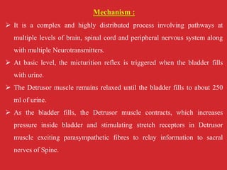 Mechanism :
 It is a complex and highly distributed process involving pathways at
multiple levels of brain, spinal cord and peripheral nervous system along
with multiple Neurotransmitters.
 At basic level, the micturition reflex is triggered when the bladder fills
with urine.
 The Detrusor muscle remains relaxed until the bladder fills to about 250
ml of urine.
 As the bladder fills, the Detrusor muscle contracts, which increases
pressure inside bladder and stimulating stretch receptors in Detrusor
muscle exciting parasympathetic fibres to relay information to sacral
nerves of Spine.
 