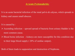 4) Acute Pyelonephritis:
It is an acute bacterial infection of the renal pelvis & calyses, which spreads to
kidney and causes small abscess.
It is caused by :
 Ascending infection – upward spread of bacteria from urinary bladder is the
most common cause.
 Blood borne infection - kidneys are more susceptible for this condition due
to their large blood supply ( 20% of cardiac output).
Both of them leads to suppuration and destruction of Nephrons.
 