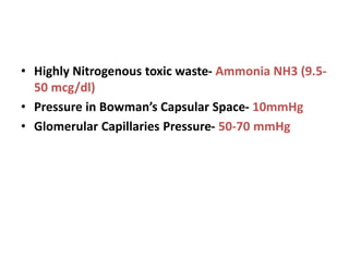 • Highly Nitrogenous toxic waste- Ammonia NH3 (9.5-
50 mcg/dl)
• Pressure in Bowman’s Capsular Space- 10mmHg
• Glomerular Capillaries Pressure- 50-70 mmHg
 