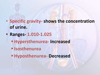 • Specific gravity- shows the concentration
of urine.
• Ranges- 1.010-1.025
 Hypersthenurea- Increased
 Isosthenurea
 Hyposthenurea- Decreased
 