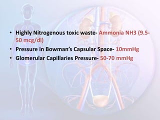 • Highly Nitrogenous toxic waste- Ammonia NH3 (9.5-
50 mcg/dl)
• Pressure in Bowman’s Capsular Space- 10mmHg
• Glomerular Capillaries Pressure- 50-70 mmHg
 
