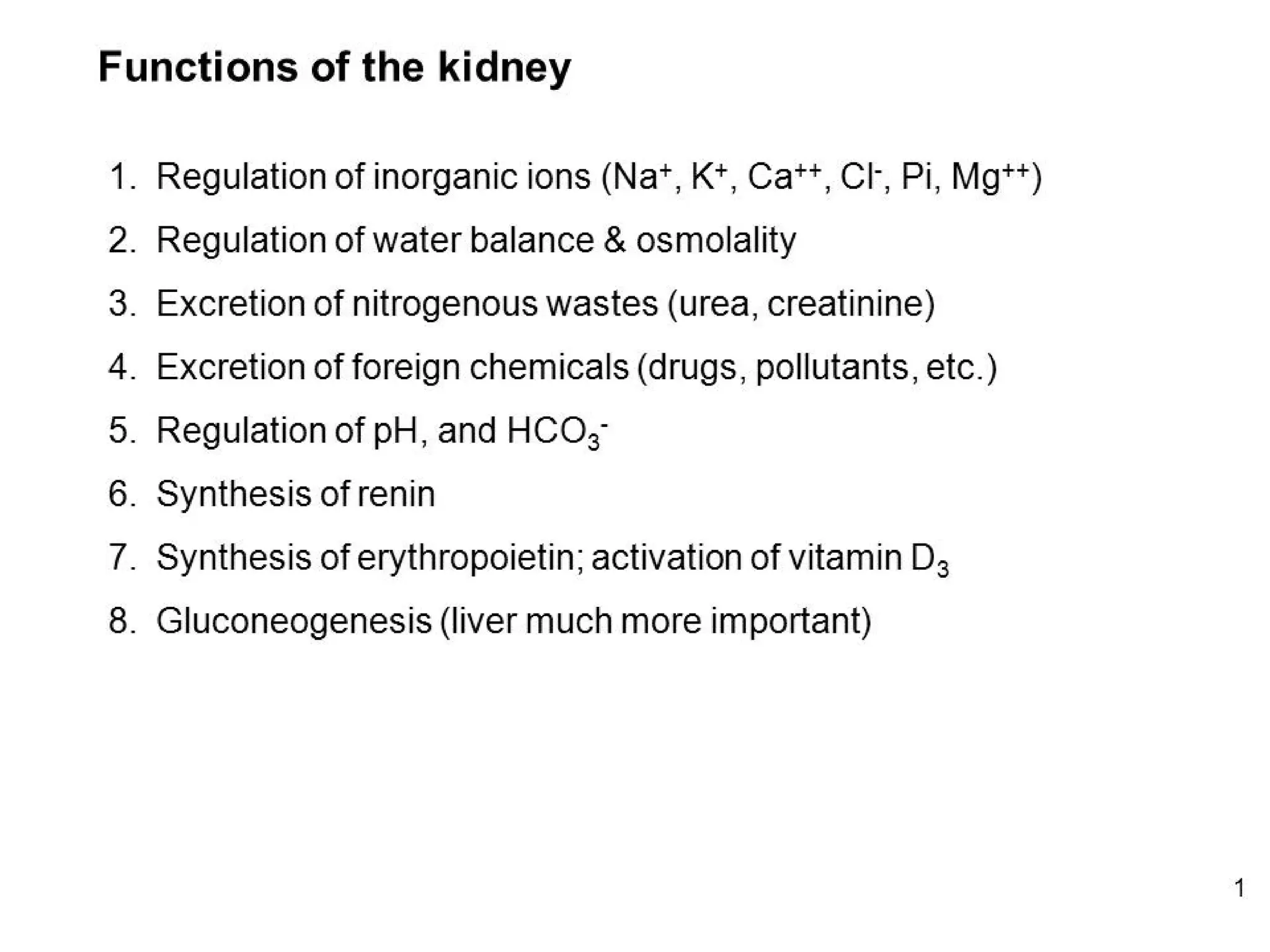 Excretory system structure and function of