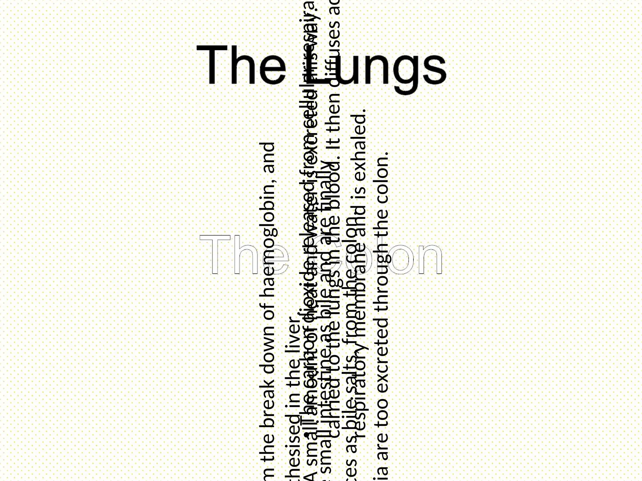 •
The
carbon
dioxide
released
from
cellular
respira
carried
to
the
lungs
in
the
blood.
It
then
diffuses
a
respiratory
membrane
and
is
exhaled.
small
amount
of
heat
and
water
is
excreted
this
way.
the
break
down
of
haemoglobin,
and
hesised
in
the
liver.
small
intestine
as
bile
and
are
finally
es
as
bile
salts,
from
the
colon.
a
are
too
excreted
through
the
colon.
 