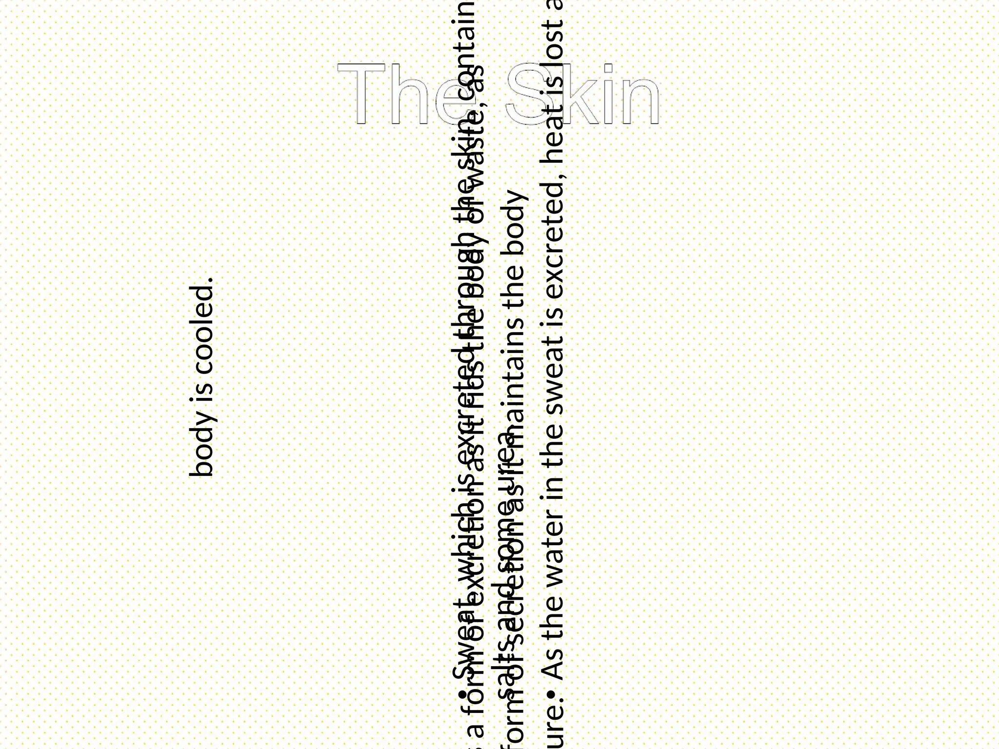 •
Sweat,
which
is
excreted
through
the
skin,
contain
salts
and
some
urea.
•
As
the
water
in
the
sweat
is
excreted,
heat
is
lost
body
is
cooled.
a
form
of
excretion
as
it
rids
the
body
of
waste,
as
orm
of
secretion
as
it
maintains
the
body
re.
 