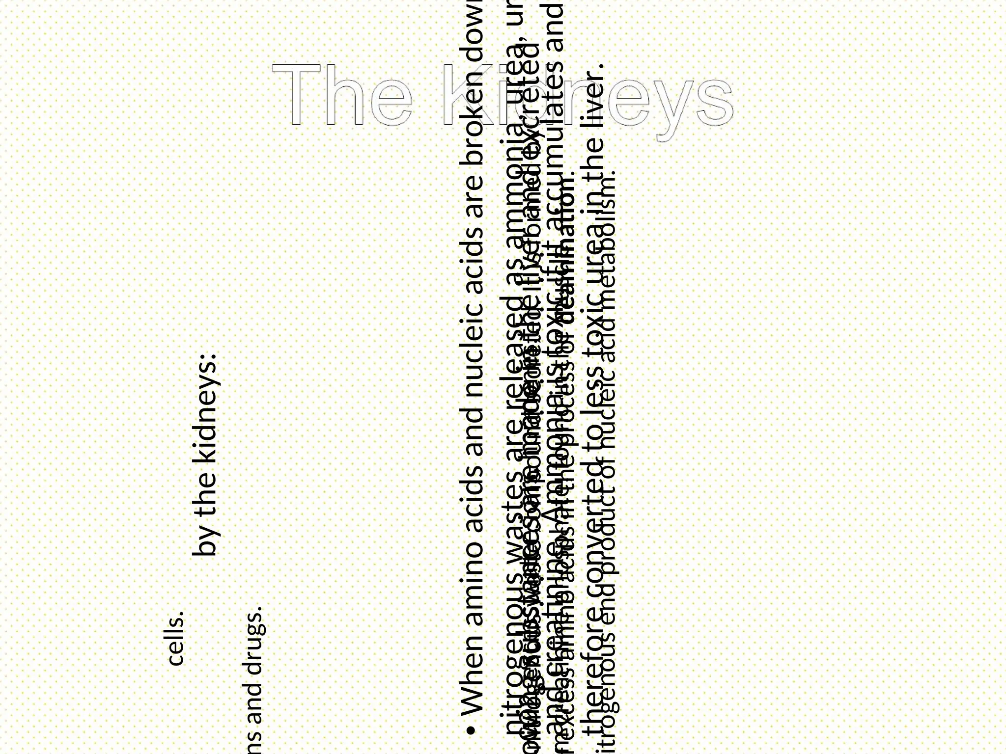 •
When
amino
acids
and
nucleic
acids
are
broken
dow
nitrogenous
wastes
are
released
as
ammonia,
urea,
u
and
creatinine.
Ammonia
is
toxic
if
it
accumulates
and
therefore
converted
to
less
toxic
urea
in
the
liver.
wing
substances
are
made
in
the
liver
and
excreted
by
the
kidneys:
nitrogenous
waste
compound
secreted.
It
is
formed
by
excess
amino
acids
in
the
process
of
deamination.
trogenous
end
product
of
nucleic
acid
metabolism.
m
creatinine
phosphate,
found
in
the
muscle
cells.
CO2,
excess
water,
ions,
hormones,
s
and
drugs.
 