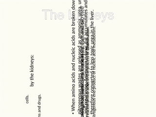 •
When
amino
acids
and
nucleic
acids
are
broken
dow
nitrogenous
wastes
are
released
as
ammonia,
urea,
u
and
creatinine.
Ammonia
is
toxic
if
it
accumulates
and
therefore
converted
to
less
toxic
urea
in
the
liver.
wing
substances
are
made
in
the
liver
and
excreted
by
the
kidneys:
nitrogenous
waste
compound
secreted.
It
is
formed
by
excess
amino
acids
in
the
process
of
deamination.
trogenous
end
product
of
nucleic
acid
metabolism.
m
creatinine
phosphate,
found
in
the
muscle
cells.
CO2,
excess
water,
ions,
hormones,
s
and
drugs.
 