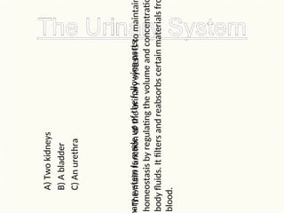 •
The
main
function
of
the
urinary
system
is
to
maintai
homeostasis
by
regulating
the
volume
and
concentrati
body
fluids.
It
filters
and
reabsorbs
certain
materials
fr
blood.
ary
system
is
made
up
of
the
following
parts:
A)
Two
kidneys
B)
A
bladder
C)
An
urethra
 