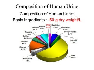 Urin Composition Excretory system-normal physiology and their .pdf