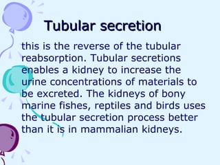 Tubular secretion this is the reverse of the tubular reabsorption. Tubular secretions enables a kidney to increase the urine concentrations of materials to be excreted. The kidneys of bony marine fishes, reptiles and birds uses the tubular secretion process better than it is in mammalian kidneys.  