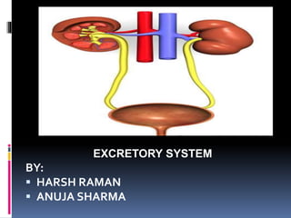 EXCRETORY SYSTEM
BY:
 HARSH RAMAN
 ANUJA SHARMA
 