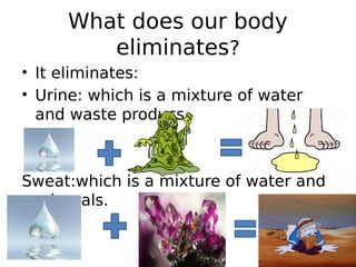 What does our body
eliminates?
• It eliminates:
• Urine: which is a mixture of water
and waste producs.
Sweat:which is a mixture of water and
minerals.
 