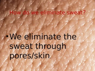 How do we eliminate sweat?
•We eliminate the
sweat through
pores/skin.
 
