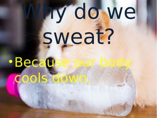Why do we
sweat?
•Because our body
cools down.
 