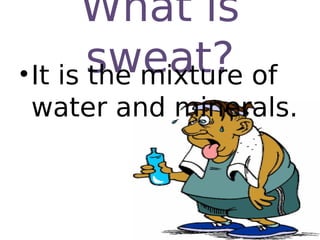 What is
sweat?•It is the mixture of
water and minerals.
 