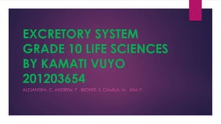 EXCRETORY SYSTEM
GRADE 10 LIFE SCIENCES
BY KAMATI VUYO
201203654
ALEJANDRA, C. ANDREW, P . BRONTE, S. CAMILA, M . KIM, P .

 