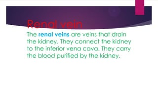 Renal vein
The renal veins are veins that drain
the kidney. They connect the kidney
to the inferior vena cava. They carry
the blood purified by the kidney.

 